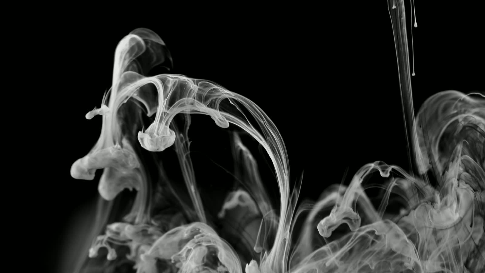 White ink dispersing in black water